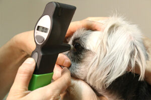 Glaucoma Testing