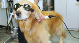 Laser therapy