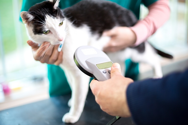 microchipping-4 Microchipping