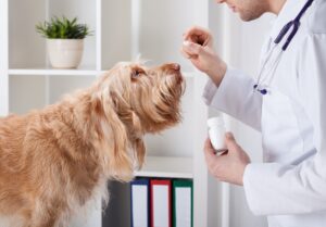 Parasite Prevention